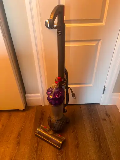 Dyson dc 51 vacuum works perfect like new condition $80 located in picton pickup only
