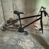 Schwinn Fat Bike Biggity for parts/repair.