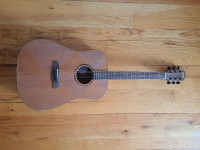 Blueberry Acoustic Guitar 1094 with Pickup and original Gigbag!