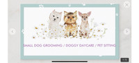 SMALL DOG GROOMING/BOARDING Early Morning Drop Offs!