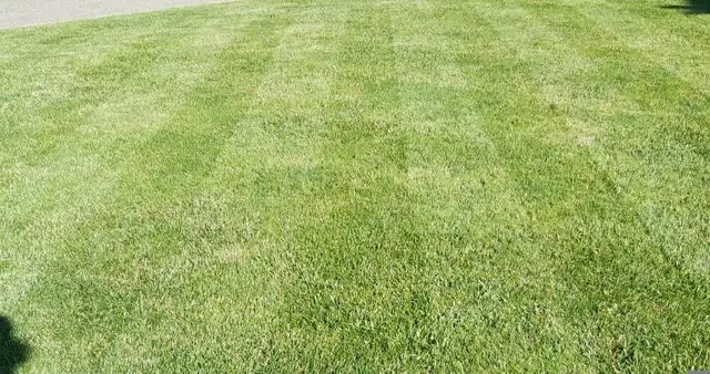 Lawn Care Pickering in Other in Oshawa / Durham Region - Image 5