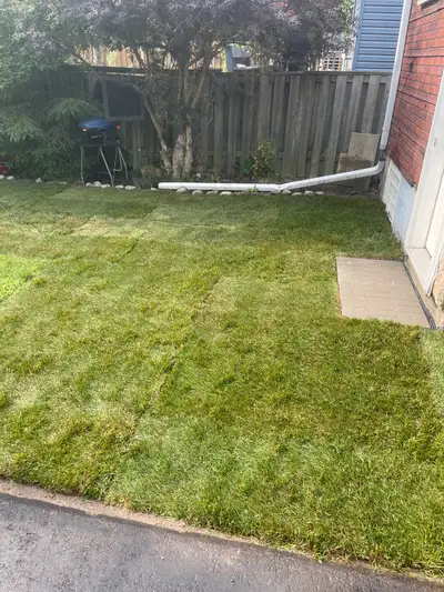   Landscaping & Power Wash | Affordable. Reliable. Beau, View more