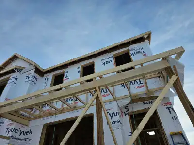 framing.           , View more