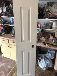 16x77 interior painted door