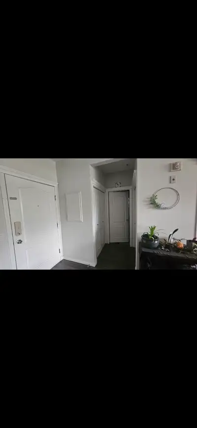Room For Rent in Downtown Condo