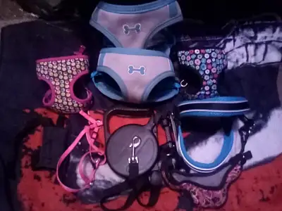 Top paw new fit small dog or cat harnesses with extendable leash, View more