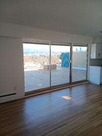1 bed room penthouse apartment in kitsilano