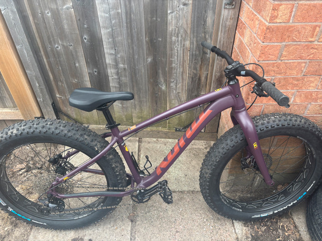 fat tire bike in Other in Barrie