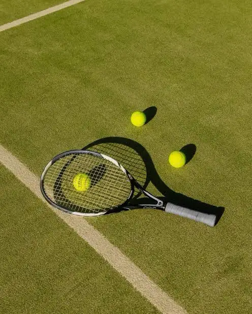 Tennis Hitting Partner  443776905522063360