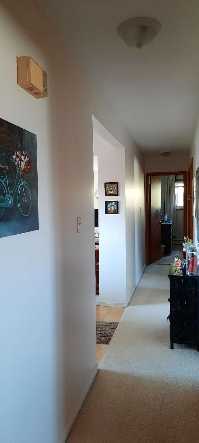 Room for rent. Room Rentals & Roommates Kitchener / Waterloo Kijiji