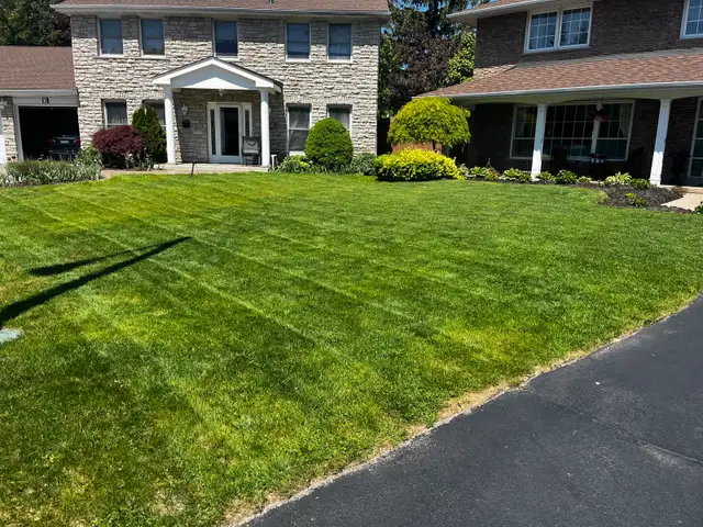 Mowing, Trimming & Edging $49, Lawn Care In Etobicoke & Toronto in Lawn, Tree Maintenance & Eavestrough in City of Toronto - Image 7