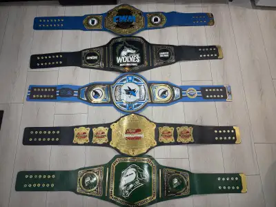  Custom Championship Belts Wrestling, Sports Teams, Fantasy Le, View more