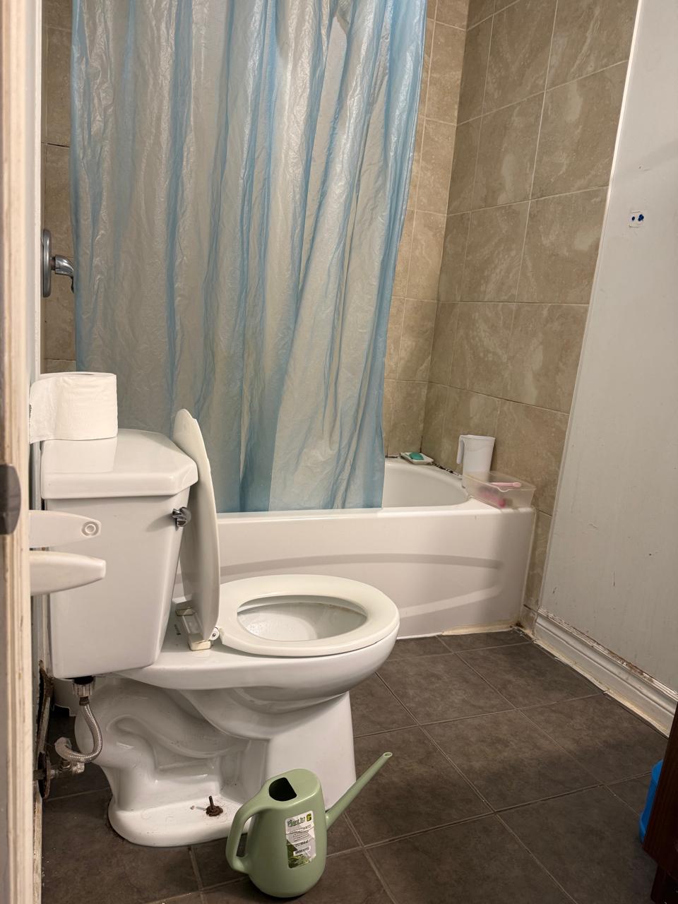 Walk Out Basement Apartment 2