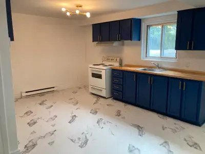 3 1/2 à louer SEMI-MEUBLÉ villeray 5min metro fabre