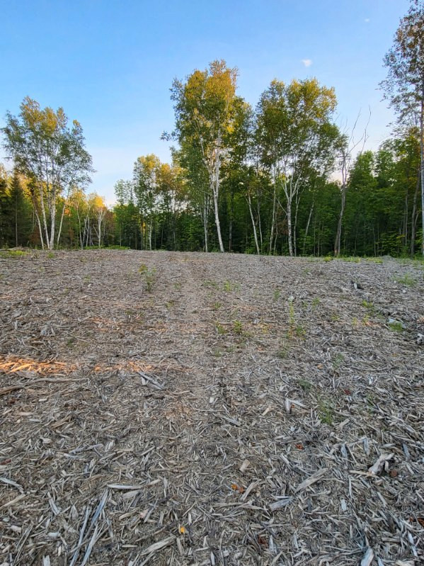 Lot for sale in Land for Sale in North Bay - Image 3