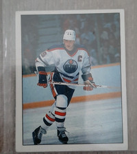 Wayne Gretzky Collant Panini Sticker 1987-88 No 371