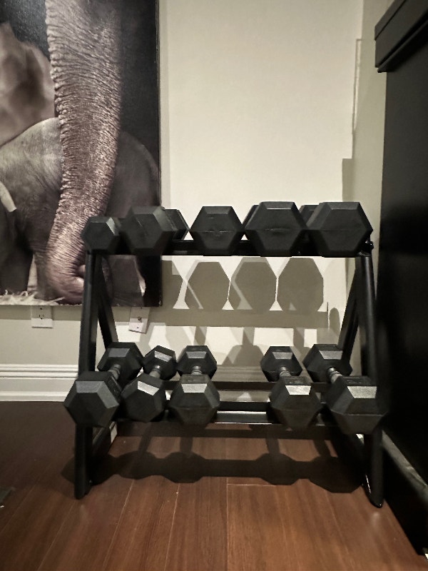 Tonic Performance 249.4kg (550lb)Hex Dumbbell Set with Rack Exercise