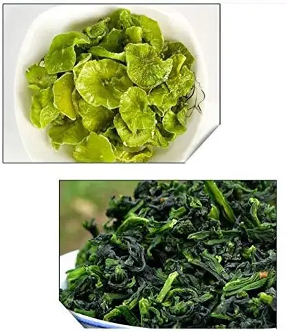 5.5 Gallon Lettuce Salad Electric Spinner Dryer Washer023064 in Other in City of Toronto - Image 7