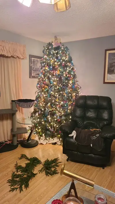 20$ Christmas tree with built on lights with some issues. Comes with stand. Pick up