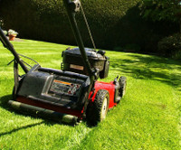 Lawn care services. Contact for quote 