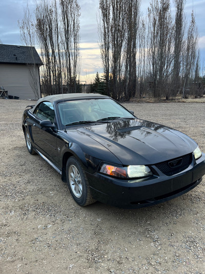 Ford 2002 mustang convertible 
