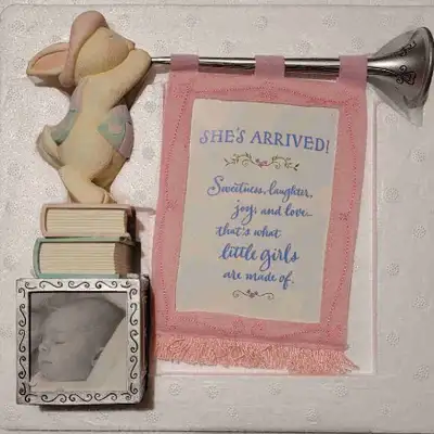 New in box - Hallmark Baby Girl has arrived , View more