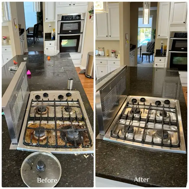 Cleaning Services479100318558474241