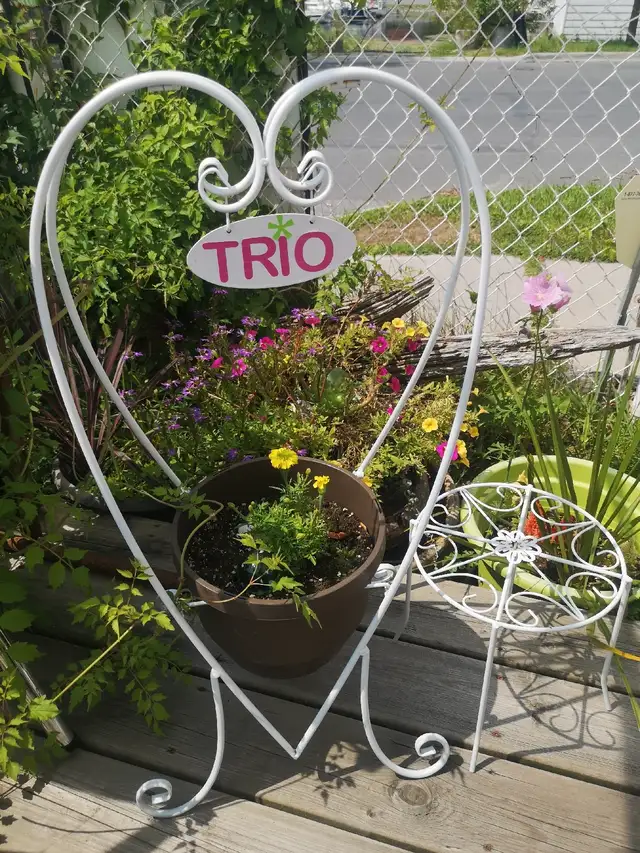 Trio Wellness Studio62863232310019121