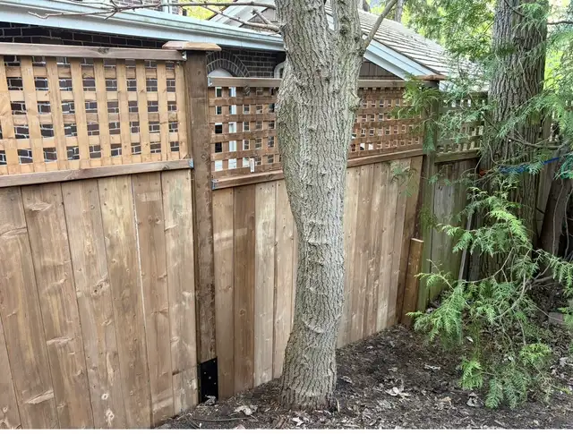 Deck & Fence Projects457910526065387522