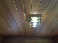 Brass 2Bulb Ceiling Light