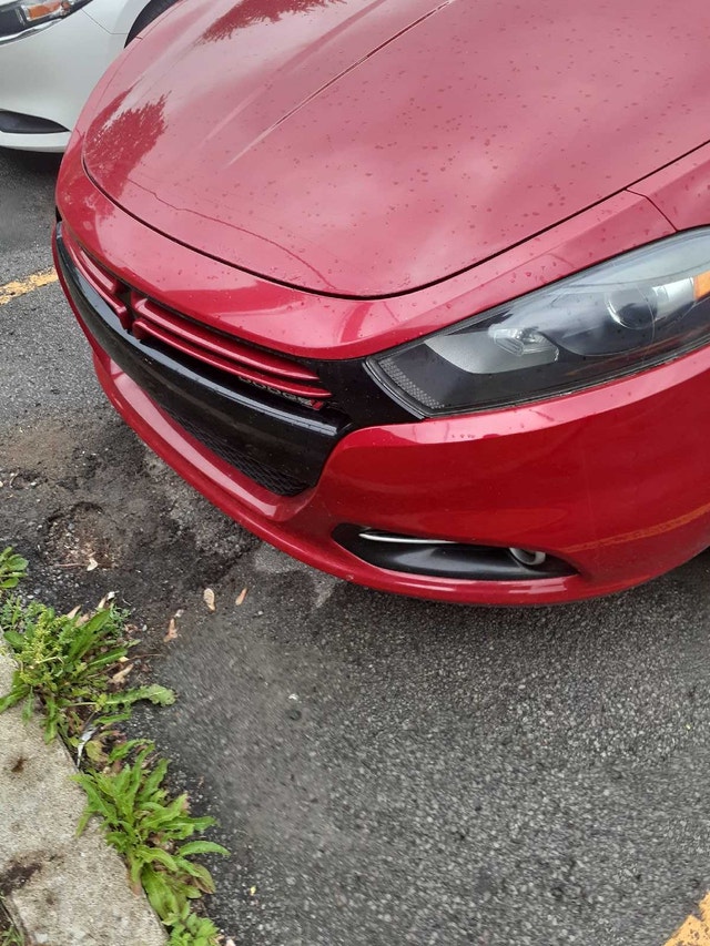 Dodge dart rally — photo 3