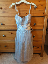 Marina Prom Dress (size 10)