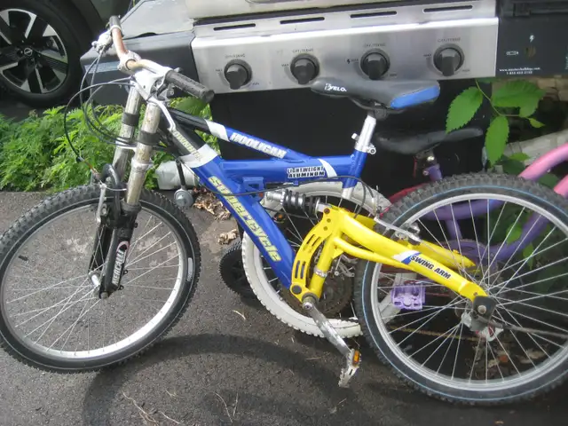 FS: Supercycle mountain bike, girls 18 inches wheel, skateboard in Road in Ottawa - Image 2