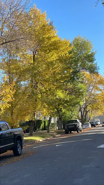 Friendship, View more