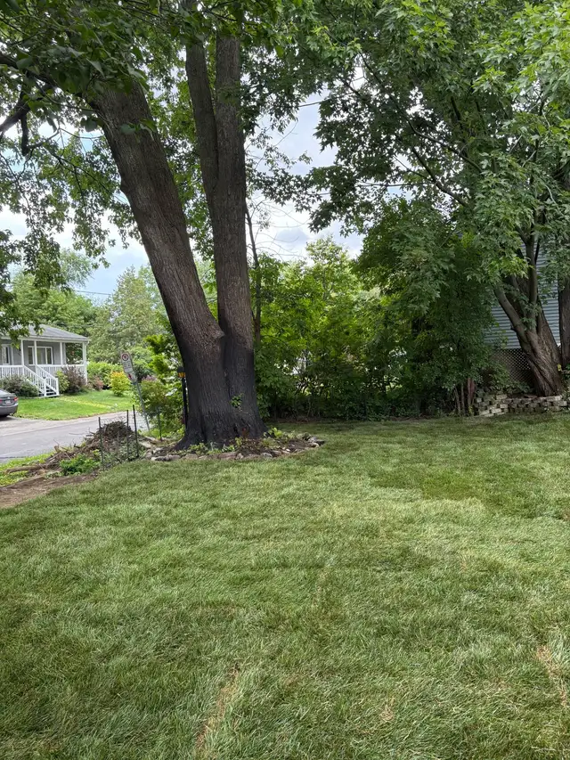 Lawn installation63005664734211124