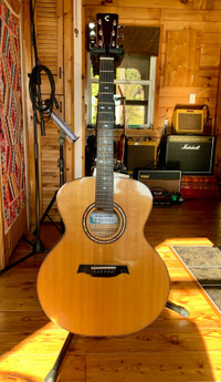 Crosby Jumbo Guitar