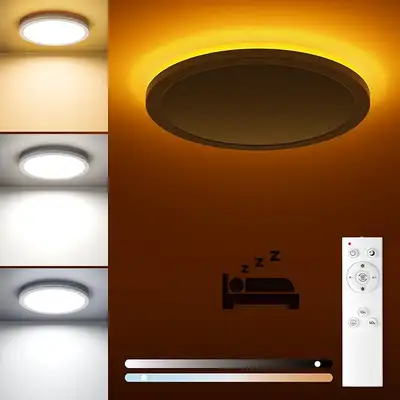 Flush Mount Ceiling Light Fixture with Remote Control, View more