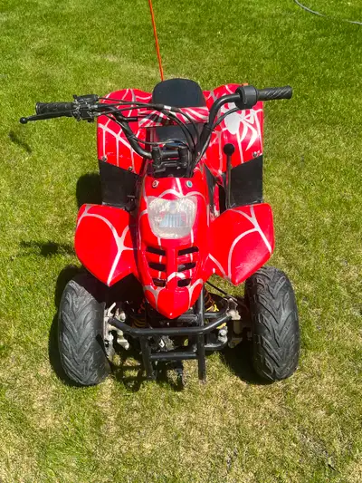 2014 kids GIO 110 quad for sale in Edson. Automatic. Forward and reverse. Electric start. Red Spider...