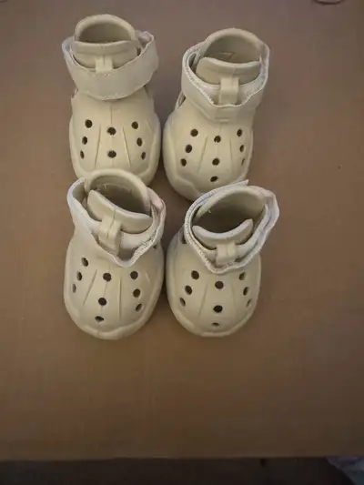 Dog Crocs., View more