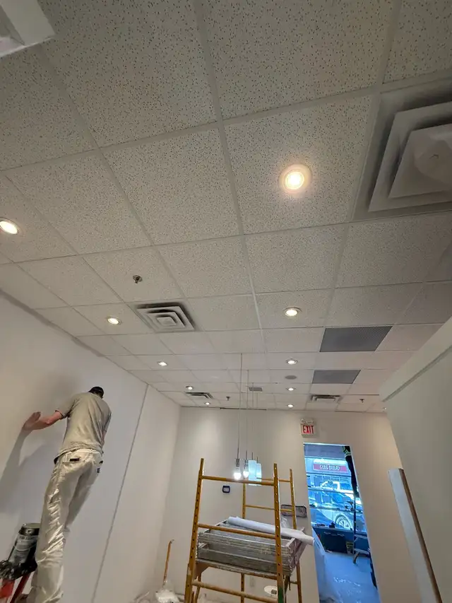 Experienced Handyman Services502213976240967687