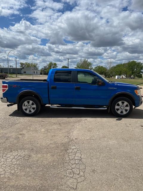 2009 Ford F150 FX4 in Cars & Trucks in Swift Current - Image 2