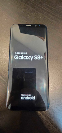 Samsung S8 Plus  64 Gbs