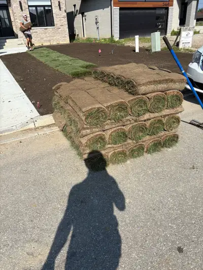 SOD rolls, View more
