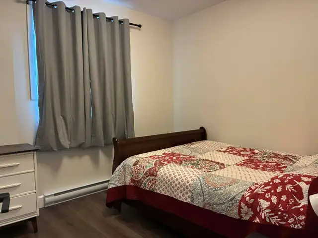 Bright & Quiet Main Floor Unit in Recently Built Triplex in Long Term Rentals in Pembroke - Image 9