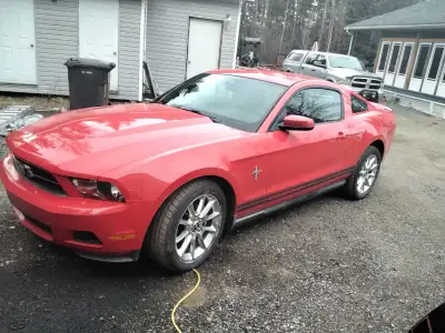 Mustang 2010
