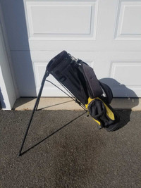 Golf bag with stand 