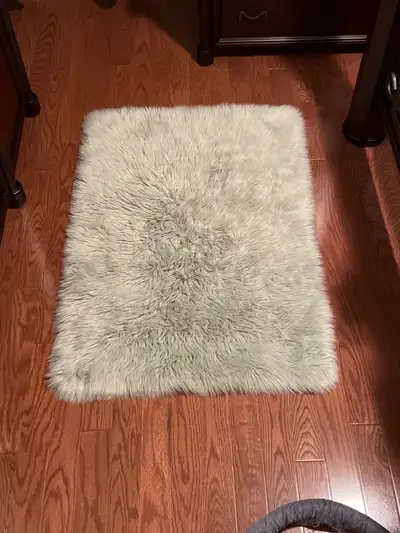 NEW Rug - New Shag Rug, View more