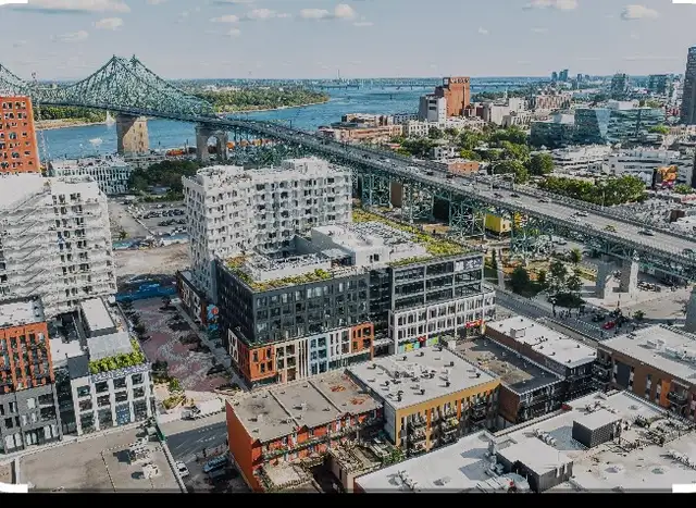 Condo 3 1/2 à louer (Esplanade Cartier - Phase 1) Montréal