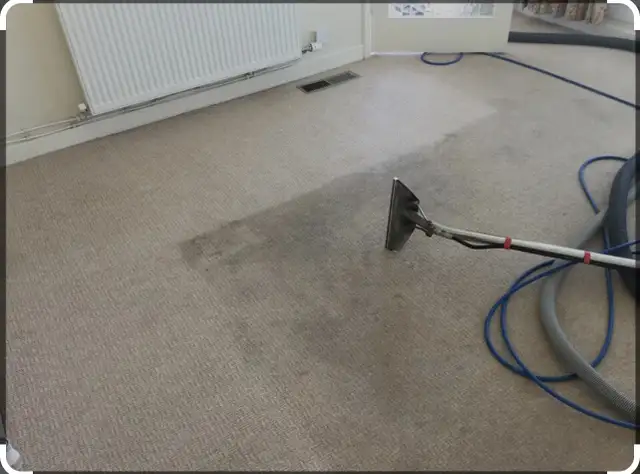 DAL’S CARPET CLEANING62864742448769124