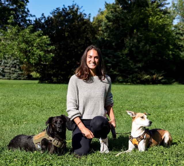 Promenade pour chien et intervention dans Services pour animaux  à Saguenay - Image 2